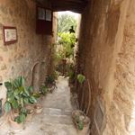 hegedus-anna-photo-1
